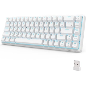 RK ROYAL KLUDGE RK G